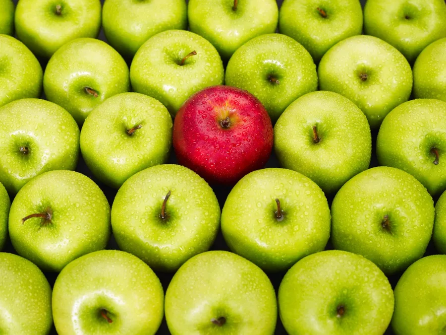 Thought Leadership