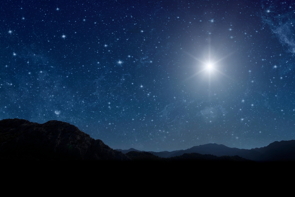 Shining Security Stars in Need a Game Plan