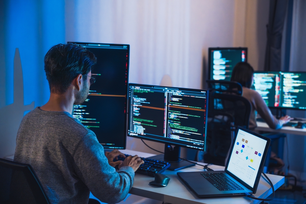 Developer